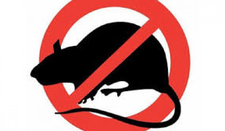 Fotka - Výzva na výkon jarnej preventívnej celoplošnej deratizácie 